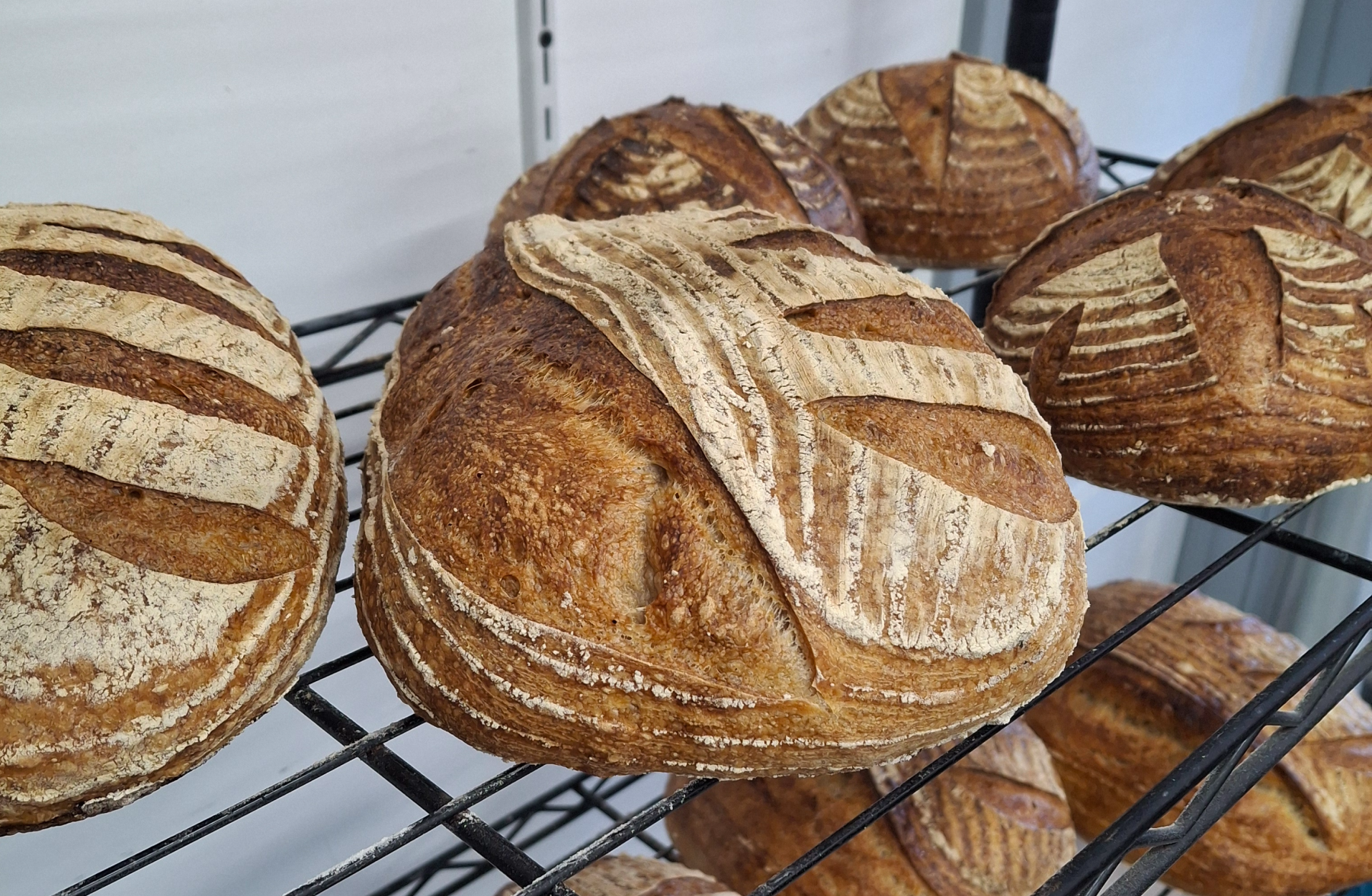 A sourdough loaf with an open crumb structure, fresh from the oven