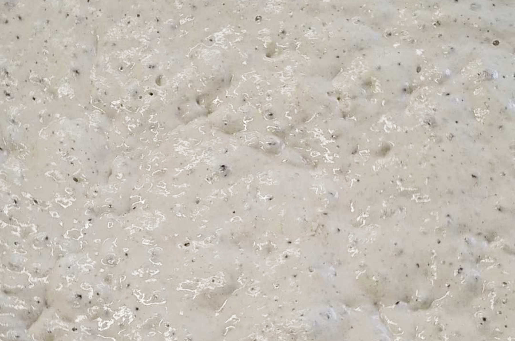 Active sourdough starer
