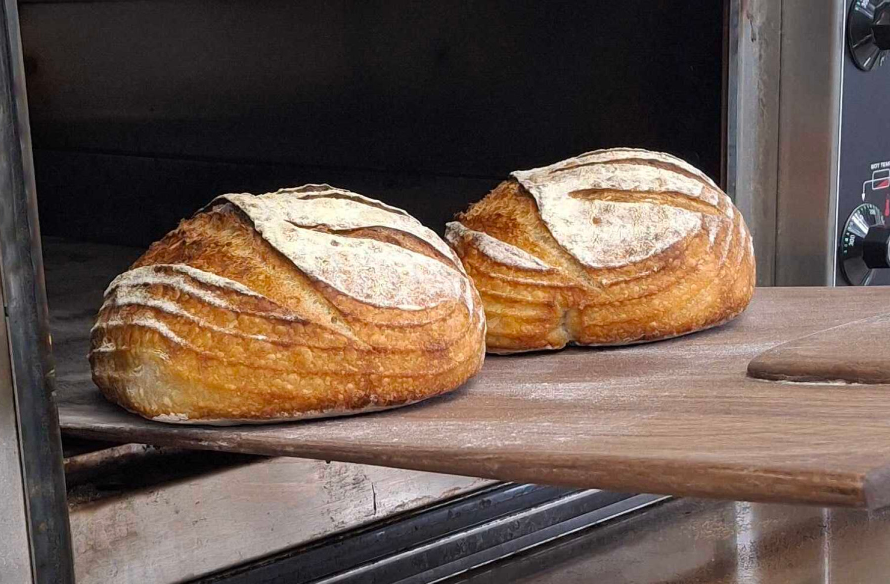 2 loaves of sourdough coming out of the oven