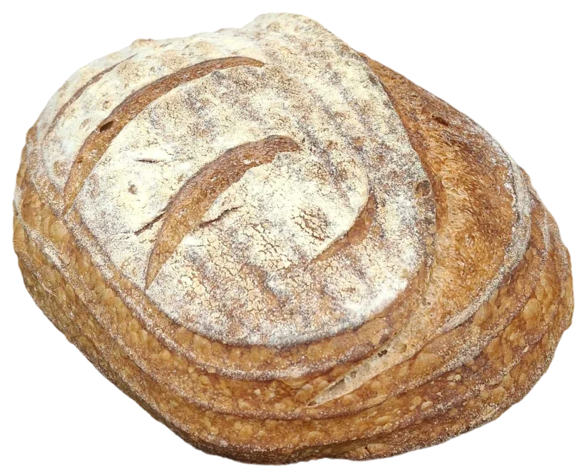 Fresh sourdough bread